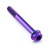 Titanium DualDrive Bolt M6x(1.00mm)x55mm Race Spec Purple Haze