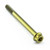 Titanium DualDrive Bolt M6x(1.00mm)x70mm Race Spec Gold