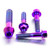 Titanium Exhaust Mount Bolt Kit Purple Haze