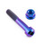 Titanium Exhaust Mount Bolt Kit Torx Drive Purple Haze