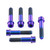 Titanium Front Caliper Pinch Bolt Kit Flanged Socket Cap Race Spec Purple Haze