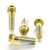 Titanium Front Brake Caliper Mount Bolt Kit DualDrive Gold