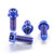 Titanium Front Brake Caliper Mount Bolt Kit DualDrive Blue