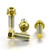 Titanium Front Brake Caliper Mount Bolt Kit DualDrive Gold