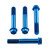 Titanium Front Brake Radial Caliper Mount Bolt Kit M10x(1.25mm)x65mm Race Spec Blue