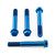 Titanium Front Brake Radial Caliper Mount Bolt Kit M10x(1.25mm)x70mm Blue