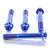 Titanium Front Brake Radial Caliper Mount Bolt Kit M10x(1.25mm)x70mm DualDrive Blue