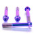 Titanium Front Brake Radial Caliper Mount Bolt Kit M10x(1.25mm)x70mm DualDrive Purple Haze
