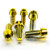 Titanium Front & Rear Caliper Mount Bolts Gold