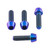 Titanium Mirror Mounting Bolt Kit Purple Haze