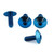 Titanium Number Plate Bolt Kit Blue