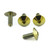 Titanium Number Plate Bolt Kit Gold