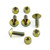 Titanium Number Plate Bolt Kit (USA/Italia) Gold