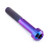 Titanium Cylindrical Head Torx Drive Bolt M10x(1.25mm)x60mm T50 Purple Haze