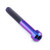Titanium Cylindrical Head Torx Drive Bolt M10x(1.25mm)x70mm T50 Purple Haze
