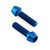 Titanium Swingarm Pinch Bolt Kit Blue