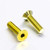 Titanium Swingarm Mounting Plate Bolt Kit Gold