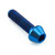 Titanium Throttle Body Housing Bolt Blue Titanium Throttle Body Housing Bolt Blue