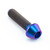 Titanium Throttle Body Housing Bolt Purple Haze Titanium Throttle Body Housing Bolt Purple Haze