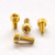 Aluminium Fuel Cap Kit Kawasaki ZX12R Ninja Gold Aluminium Fuel Cap Kit Kawasaki ZX12R Ninja Gold