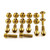 Stainless Steel Bodywork Bolt Kit - Indian Challenger - Dark Horse/Elite/Limited/Standard Gold Stainless Steel Bodywork Bolt Kit - Indian Challenger - Dark Horse/Elite/Limited/Standard Gold