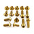 Stainless Steel Bodywork Bolt Kit - Indian Chieftain - Dark Horse/Elite/Premium/Standard 111/116 Gold Stainless Steel Bodywork Bolt Kit - Indian Chieftain - Dark Horse/Elite/Premium/Standard 111/116 Gold