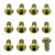 Titanium Cycle Disc Rotor Bolt M5x(0.80mm)x10mm Button Head Torx Drive Pack x12 Gold