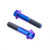 Titanium Swingarm Pinch Bolt Kit Purple Haze