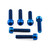 Titanium Top & Bottom Clamp Yoke Pinch Kit Torx Drive Blue