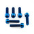 Titanium Top & Bottom Clamp Yoke Pinch Kit Torx Drive Blue