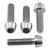Titanium Brake & Clutch Lever Perch Pinch Bolt Kit