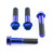 Titanium Front Brake Caliper Mount Bolt Kit Purple Haze