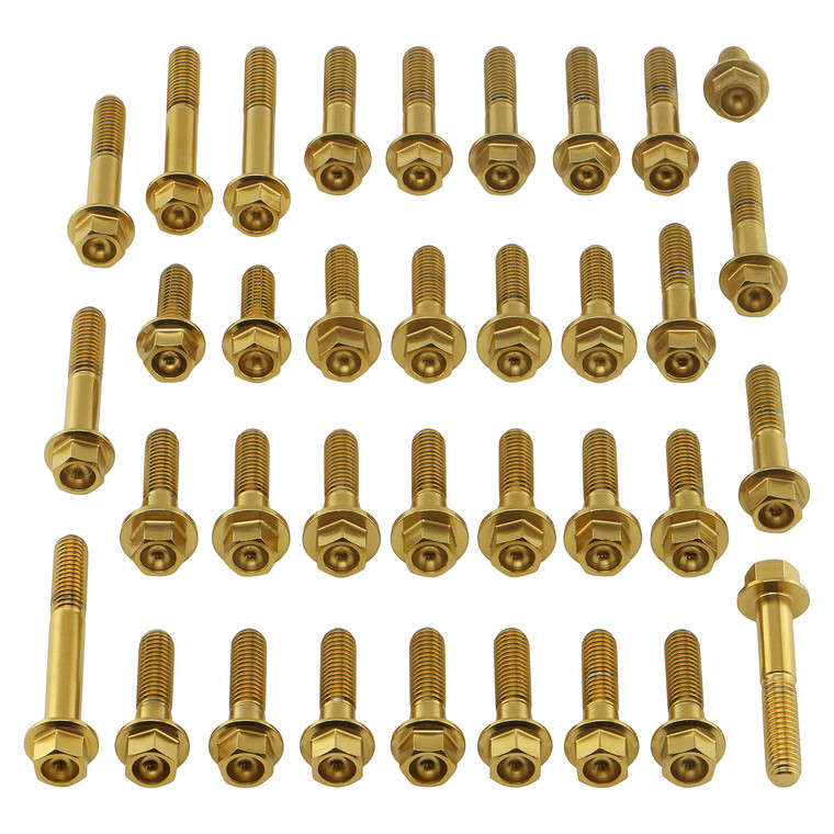 Stainless Steel Engine Kit Kawasaki Ninja ZX-10R Flanged Hex Gold