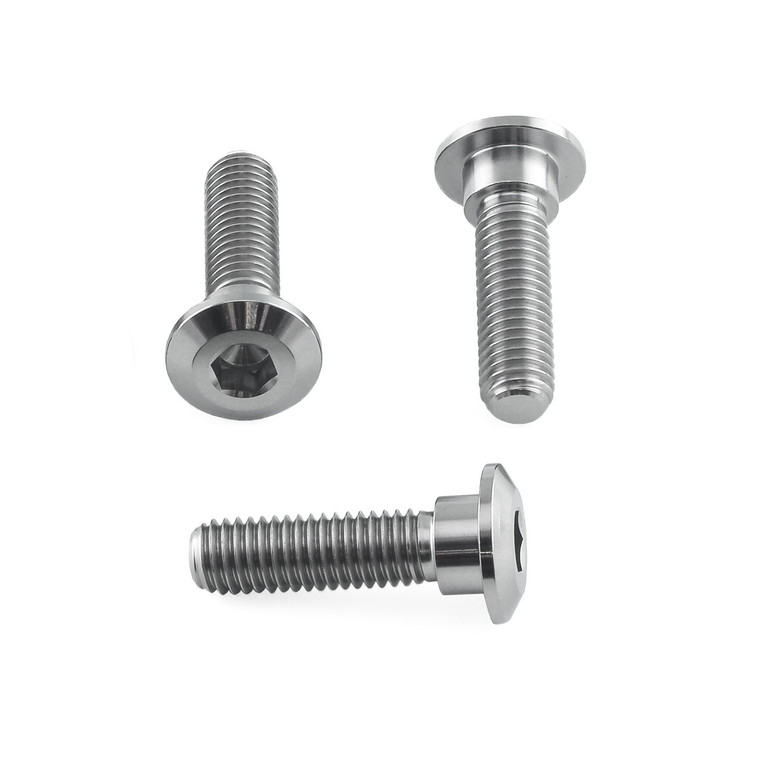 Titanium Disc Bolt To Fit Kawasaki/Suzuki M8x30mm Pack x3 Titanium Disc Bolt To Fit Kawasaki/Suzuki M8x30mm Pack x3