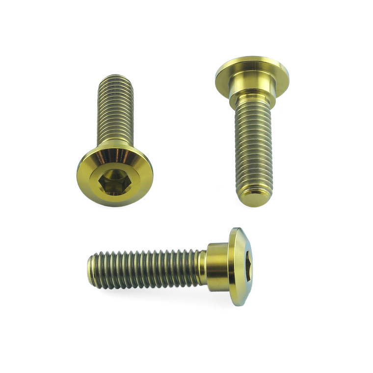 Titanium Disc Bolt To Fit Kawasaki/Suzuki M8x30mm Pack x3 | Pro-Bolt