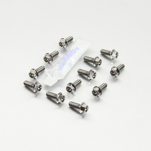 Titanium Disc Bolt M6x16mm Flanged Hex Pack x12