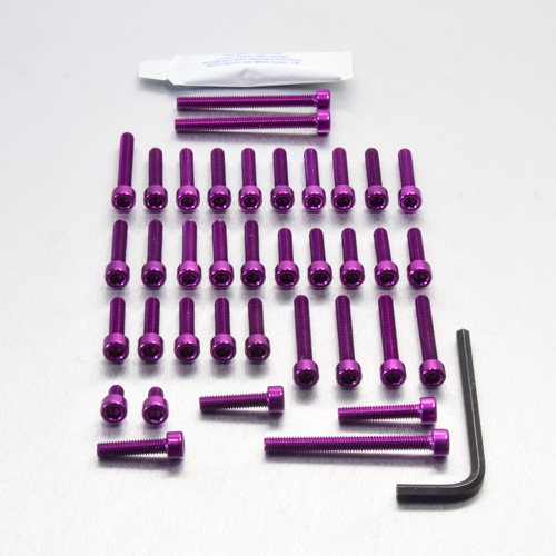 AKIページ Aluminium Engine Kit Kawasaki ZX-R636 B1-B2 Ninja | Pro-Bolt