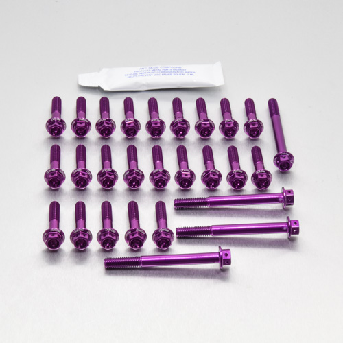 Aluminium Engine Kit Kawasaki Z1000 Race Spec Etched 03-06 | Pro-Bolt