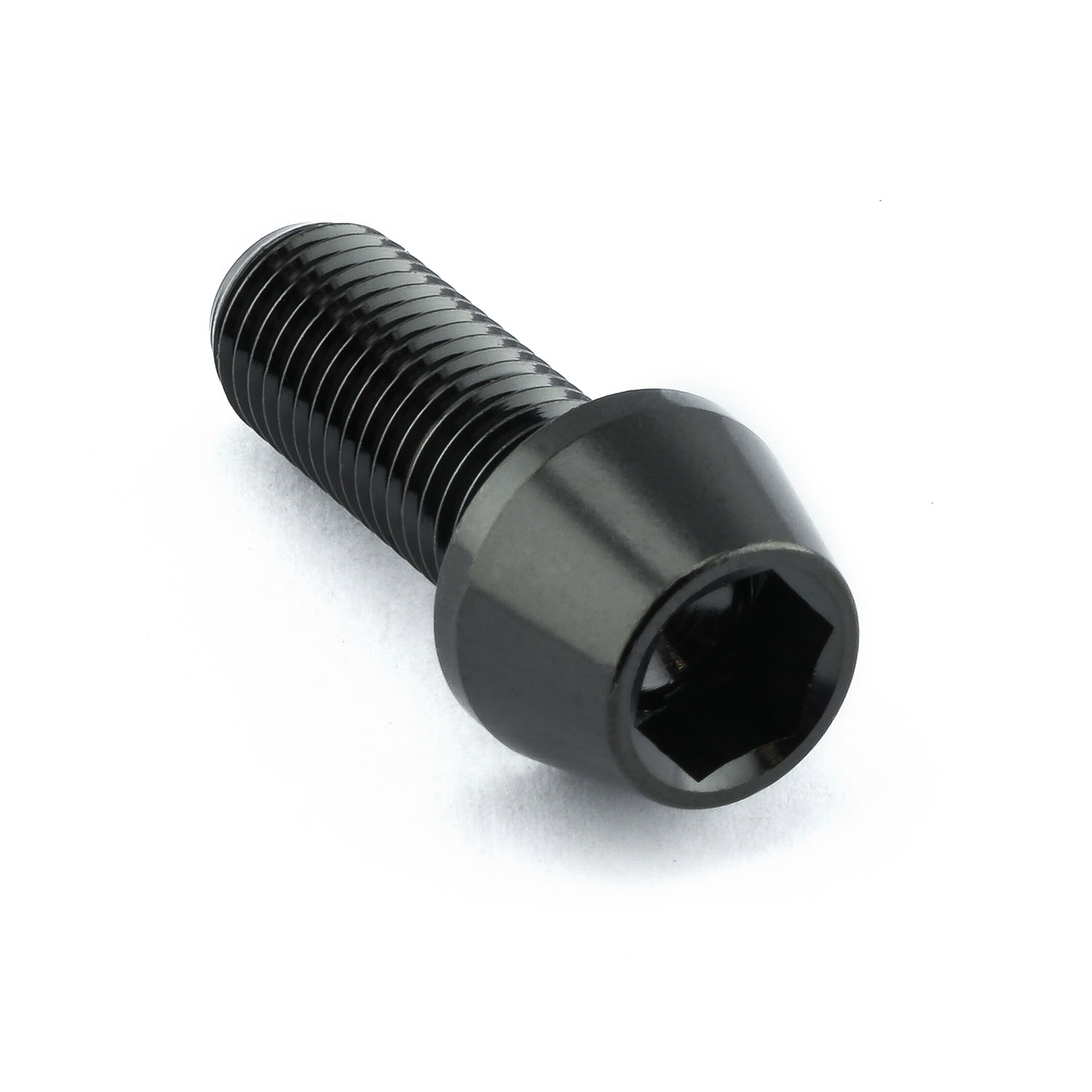Stainless Steel Socket Cap Bolt M10x(1.25mm)x25mm | Pro-Bolt