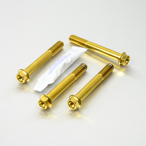 Stainless Steel Front Brake Mounting Bolt Kit | Pro-Bolt