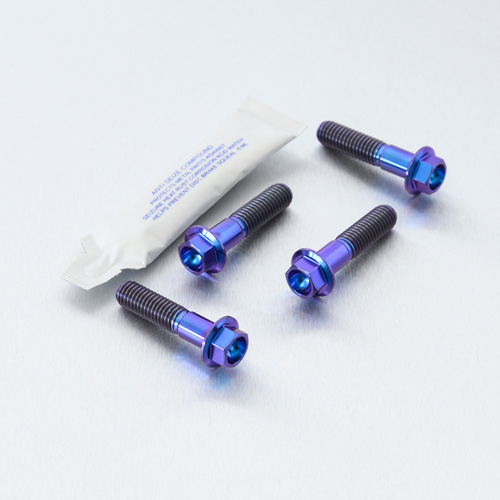 Titanium Front Brake Caliper Mount Bolt Kit | Pro-Bolt