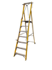 Lyte MagnaStep EN131 Professional Glassfibre Widestep Ladder