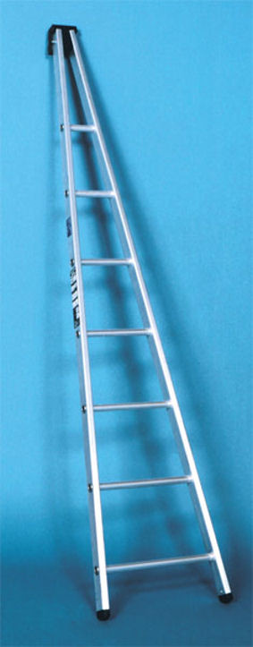 Pointer Ladder Aluminium Window Cleaning Ladder - Single Section