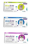 Bravecto Feline