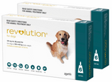 Revolution Canine