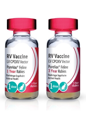 PureVax Indoor Cat