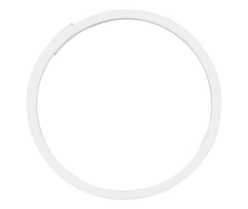 Boeing BACR12BM110 Ring, Back-Up - 5/Pack