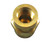 Aeronautical Standard AN910-1 Coupling with Pipe Thread - Brass