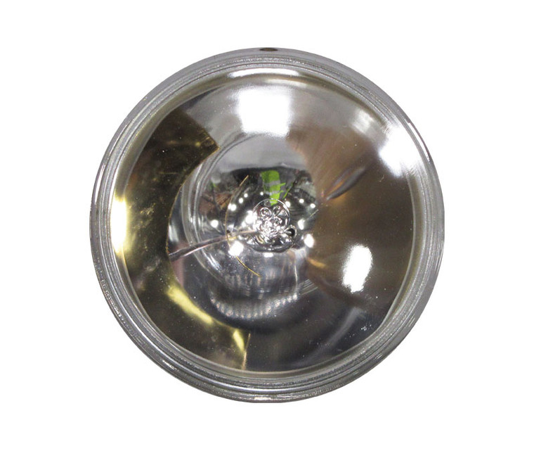 GE Lighting 4537 PAR46 13-Volt / 100-Watt Lamp, Incandescent