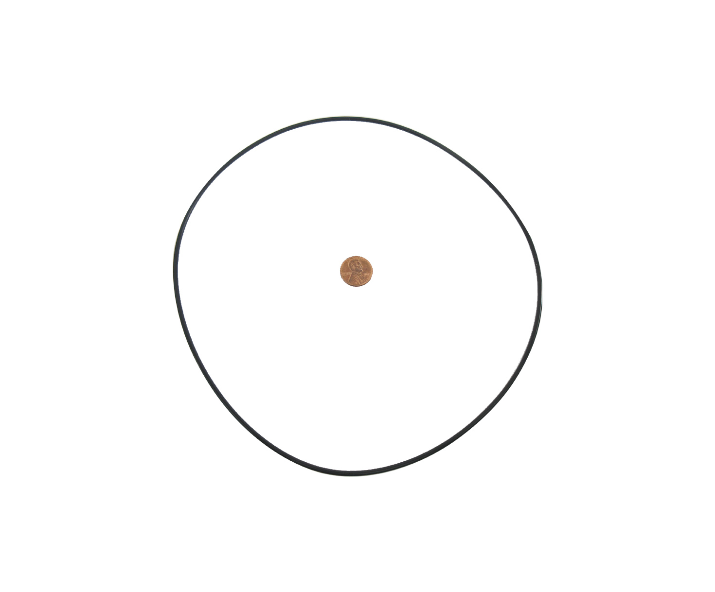 SAE Aerospace Standard AS3209-171 O-Ring - 25/Pack
